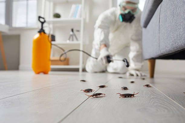 Trusted Cockroach Control service in Canonsburg, PA - Nex Pest Control